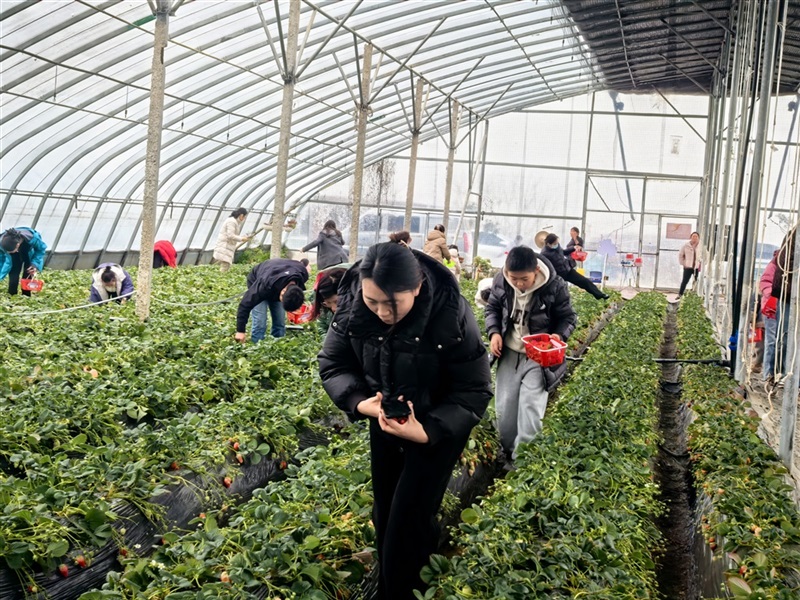 【遠通車友家庭日系列活動第24期】廣本駿業車友專屬自駕采摘日（文末有福利）#11702